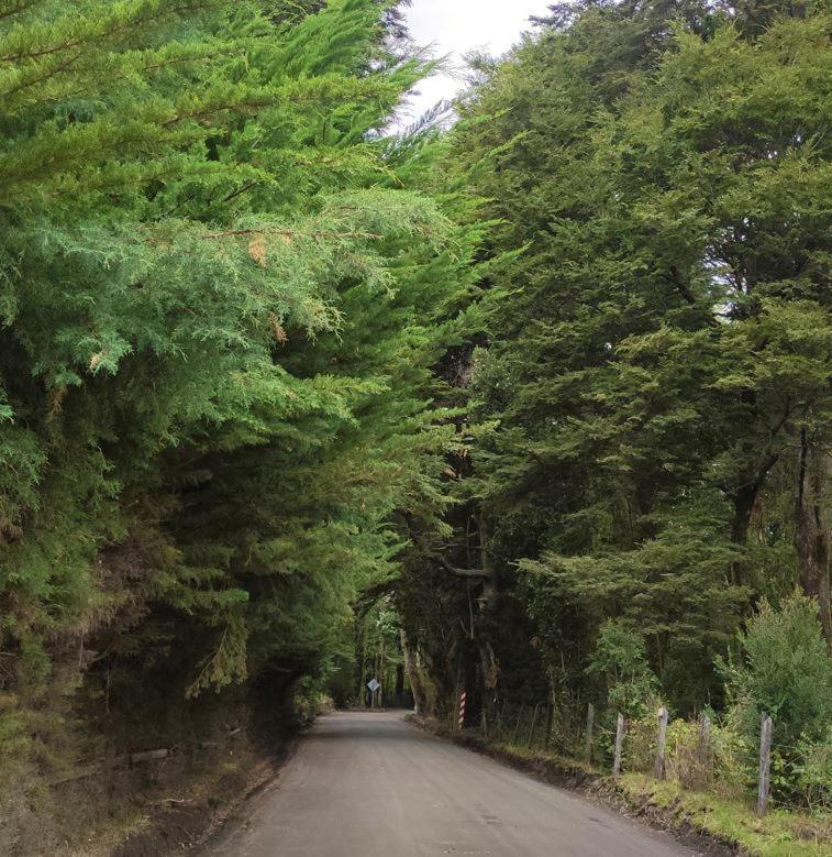 Cabana Ensenada, Puerto Varas - 1 Ambiente Esterno foto